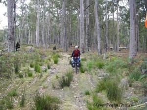 Sibil Tasmanian Trail