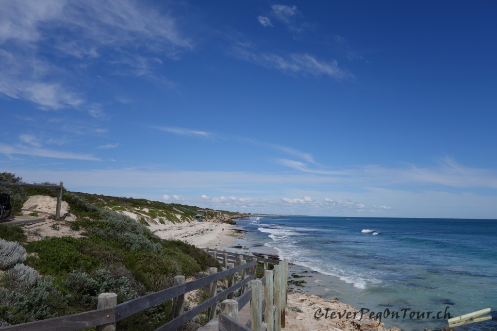 Australia were here (13)