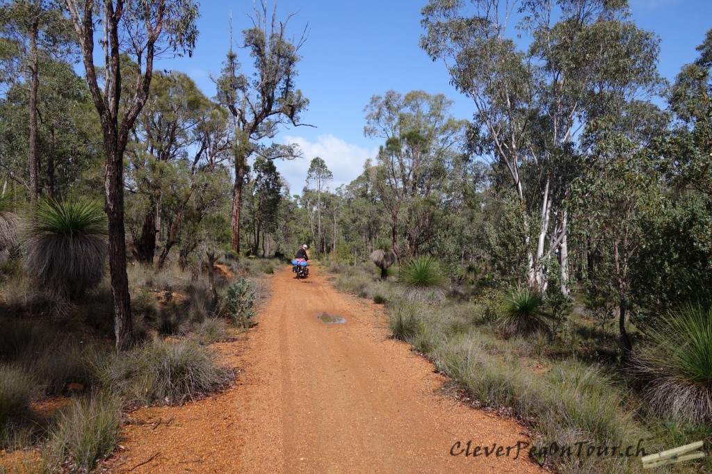 Munda Biddi Trail and Farm (11)