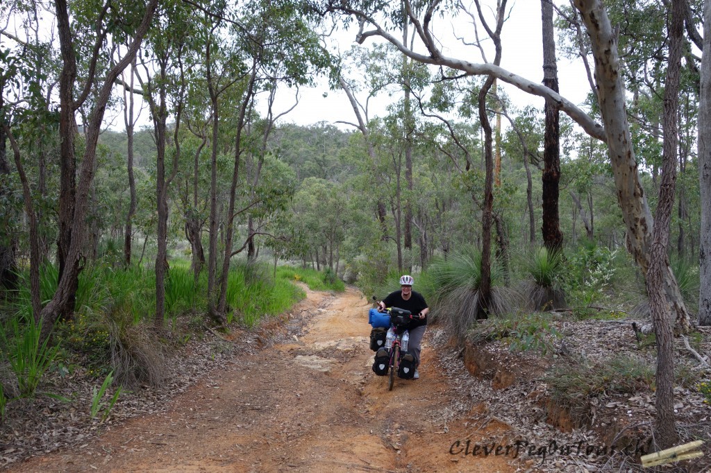 Munda Biddi Trail and Farm (2)