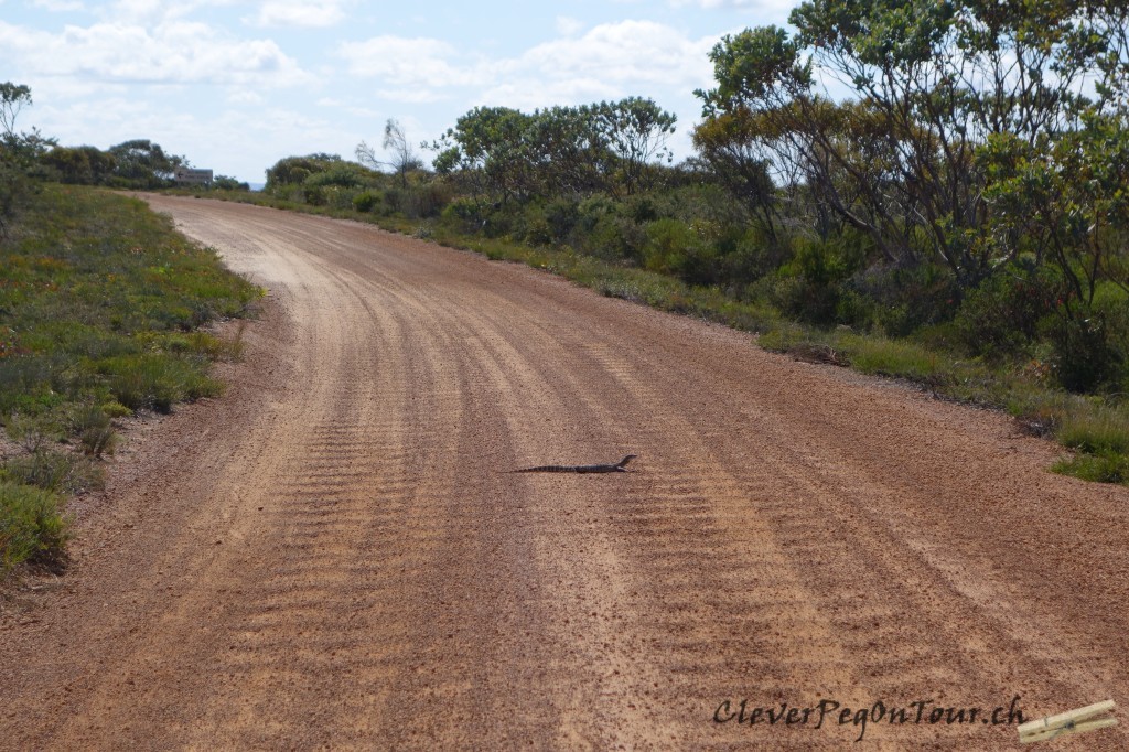 Westaustraliens Suedkueste (8)