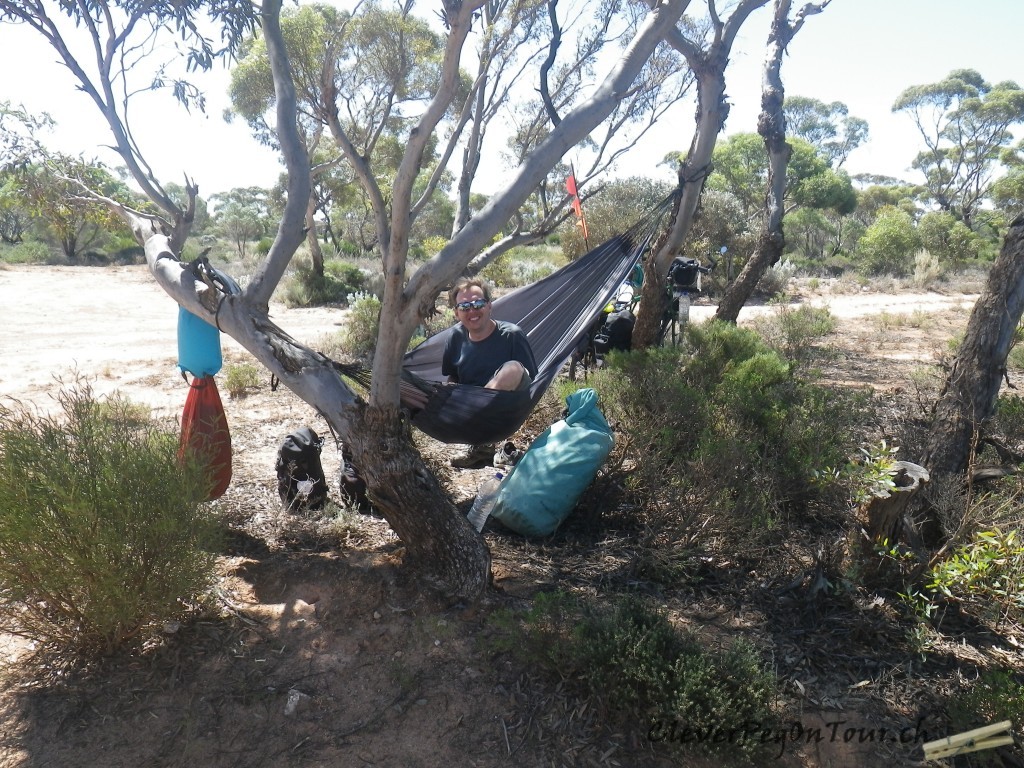 Nullarbor (11)