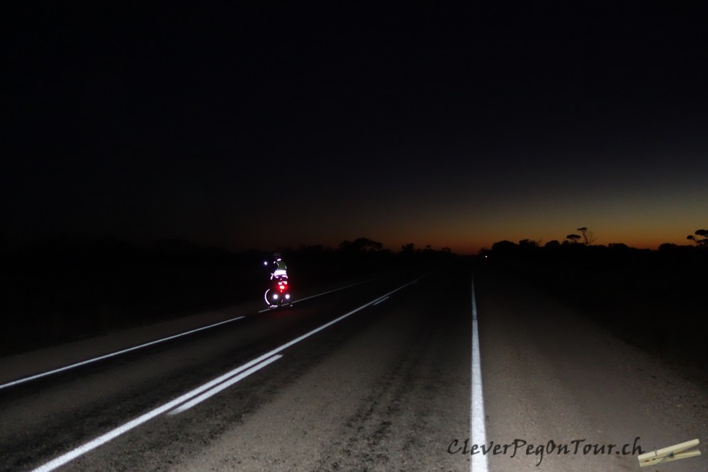 Nullarbor (22)