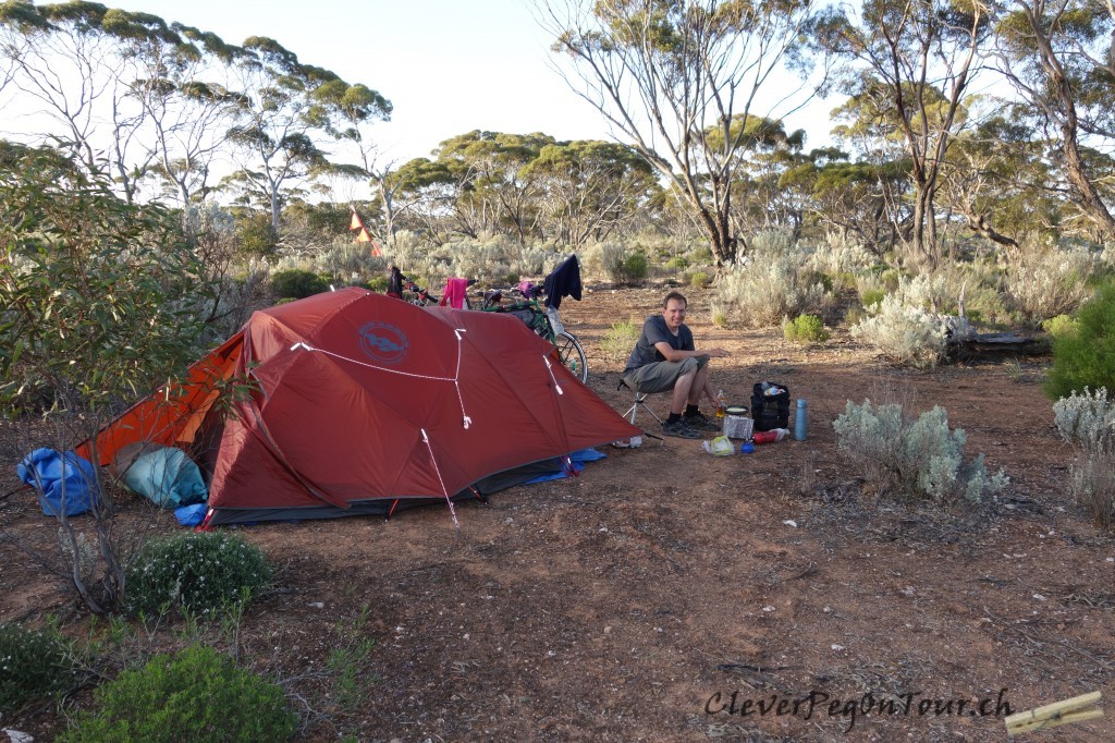 Nullarbor (6)