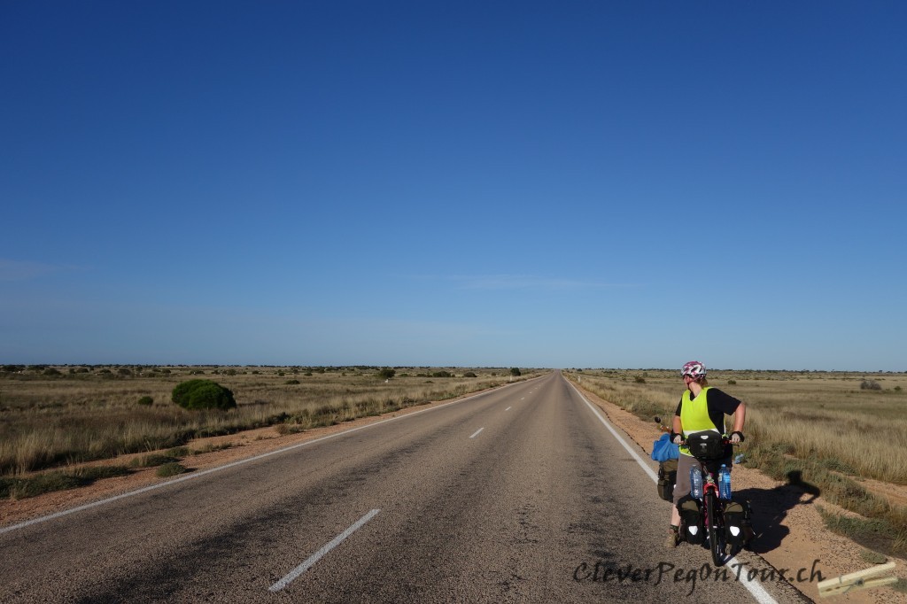 Nullarbor (8)