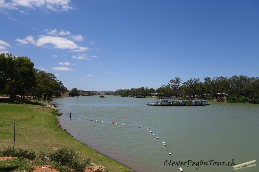 Oase Murray River (5)