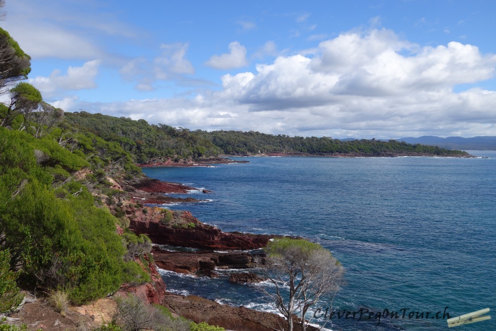 Auf nach Sydney (2)