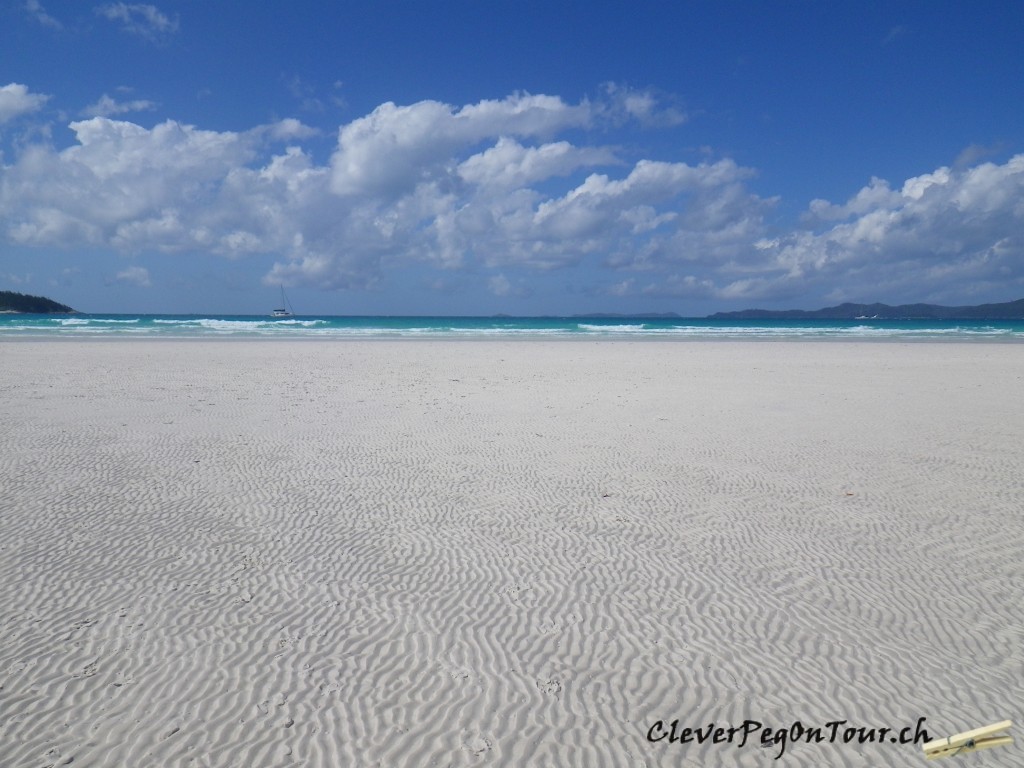 Whitsunday Special (15)