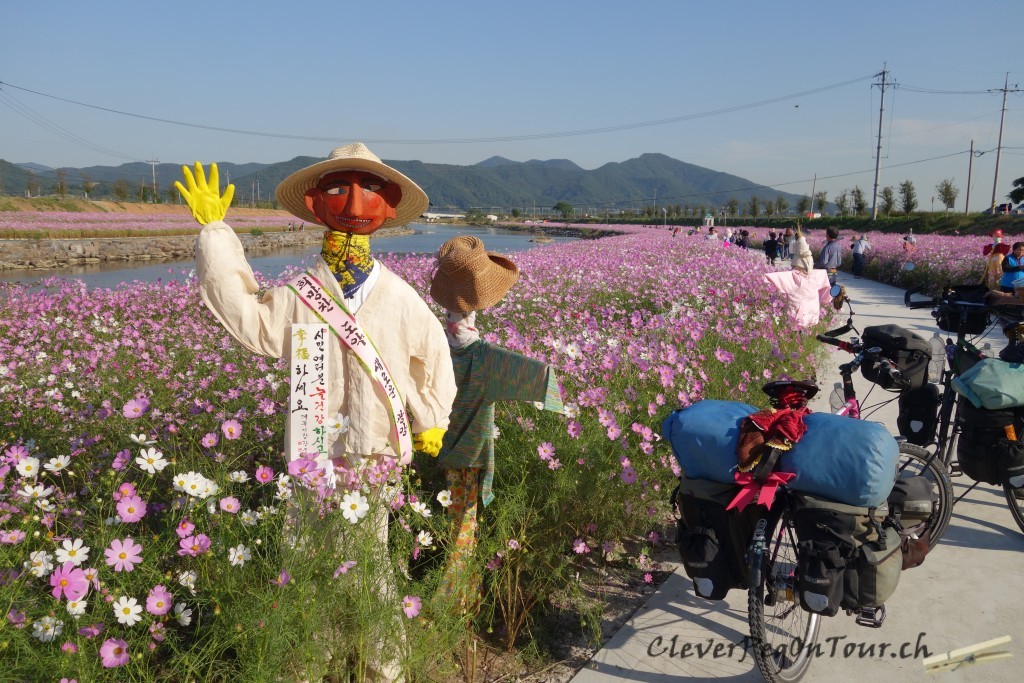 Daegu und Busan (41)