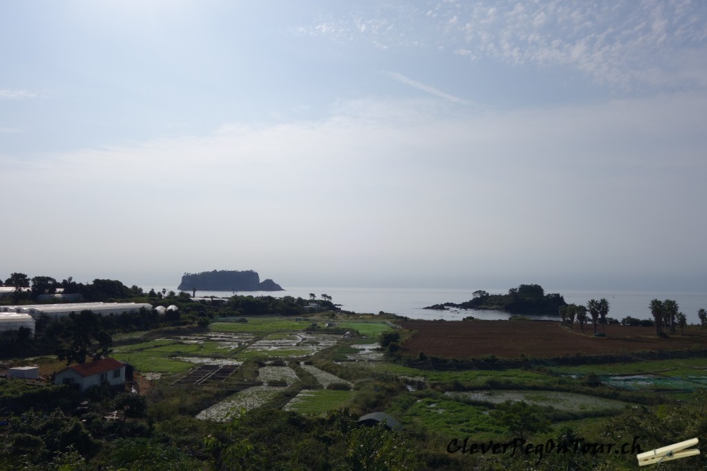 Jeju (21)