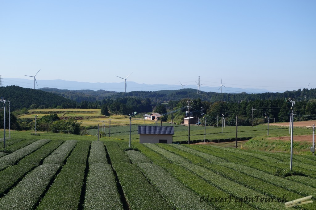 Konnitschiwa Japan (15)