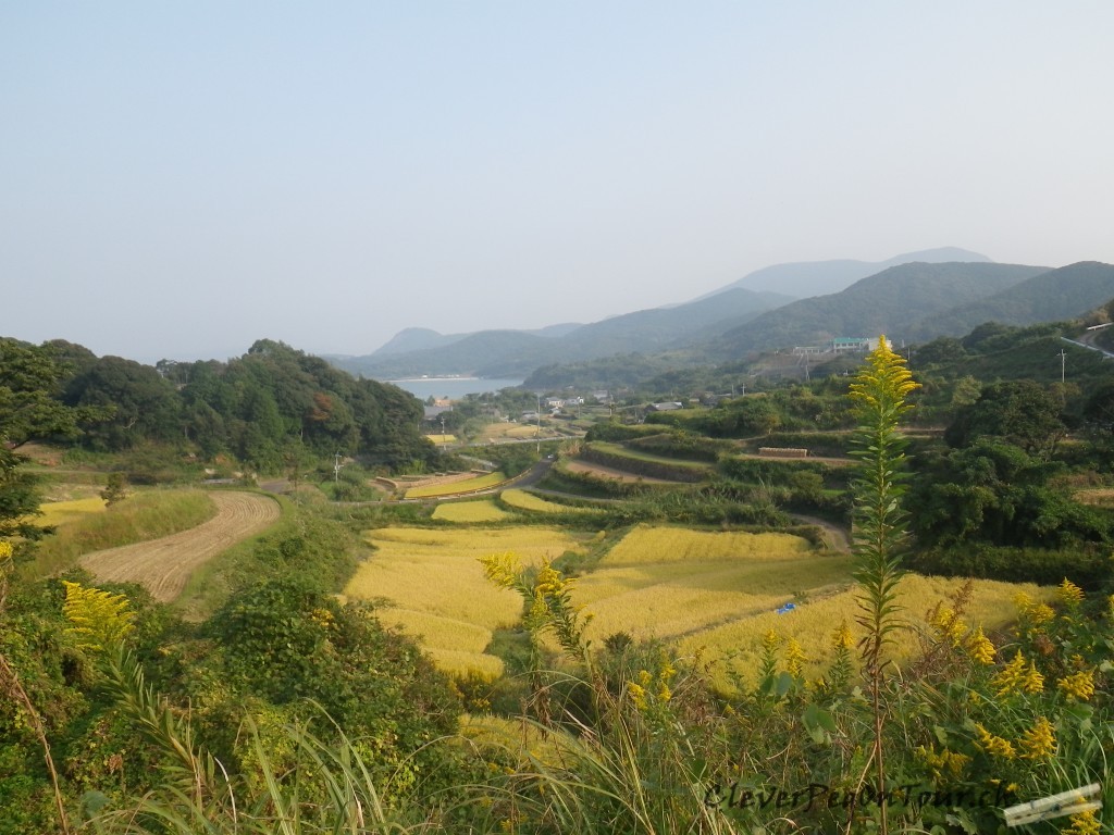 Konnitschiwa Japan (37)
