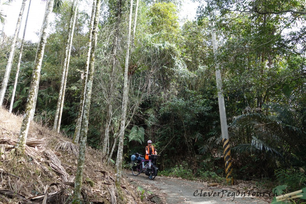 Daumen hoch fuer Taiwan (30)