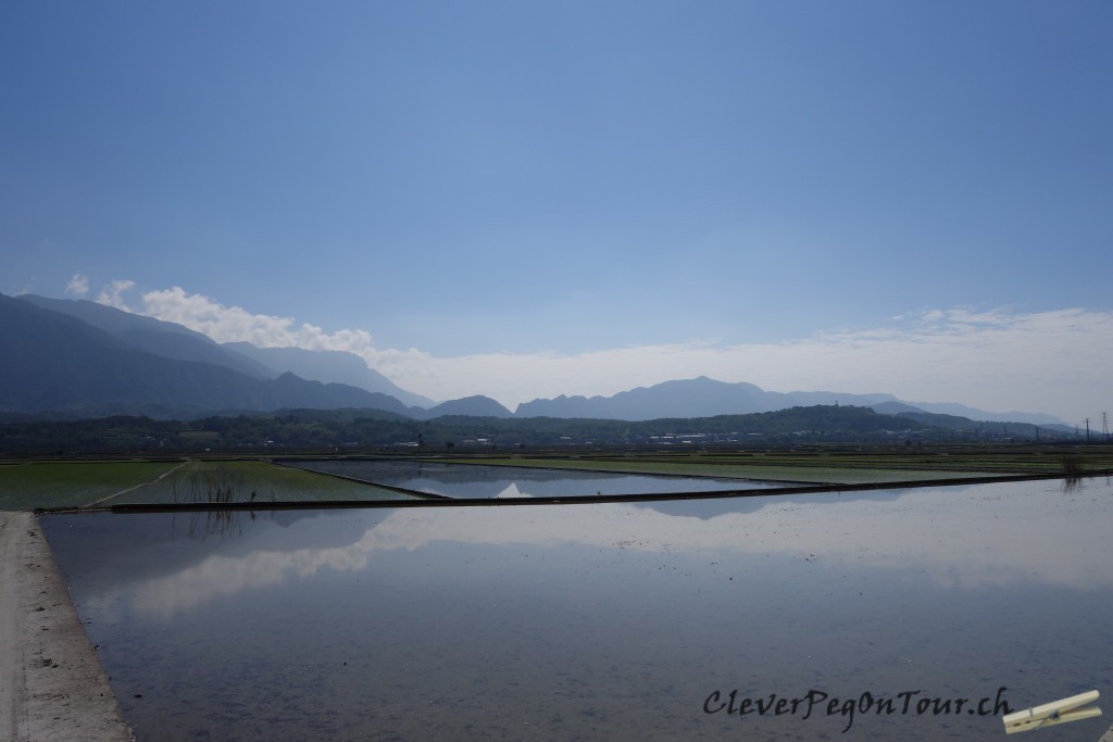 Bye bye Taiwan (14)