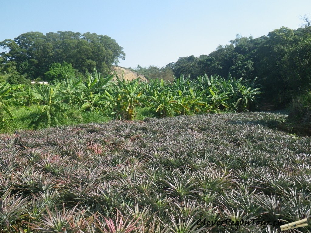 Von Huwei nach Taitung (33)