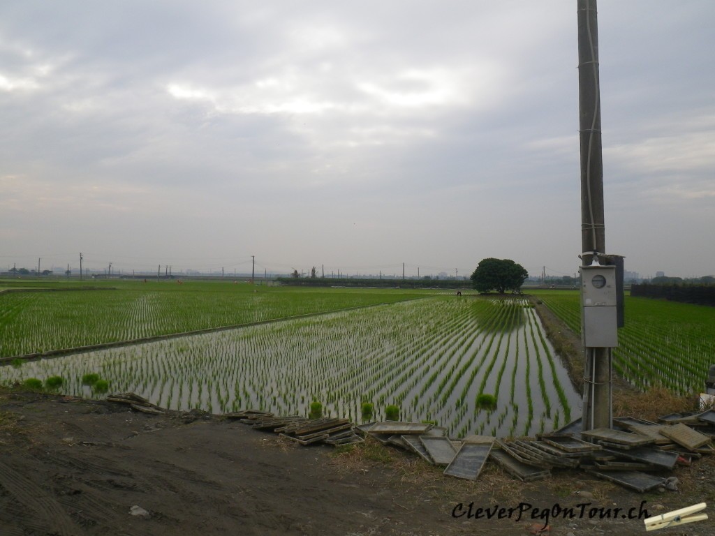 Von Huwei nach Taitung (4)