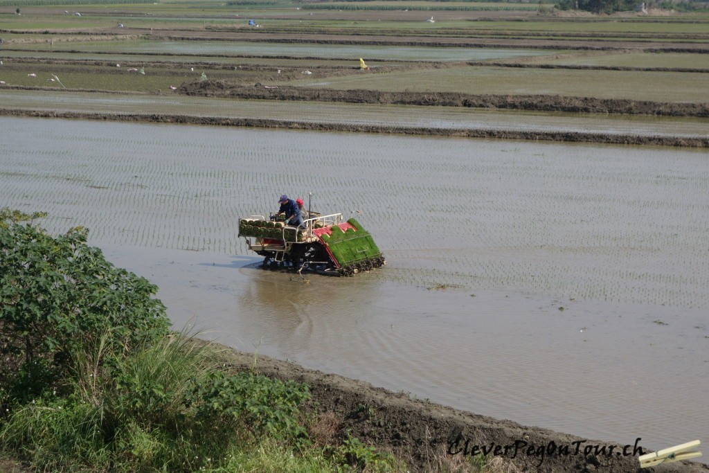 Von Huwei nach Taitung (4a)