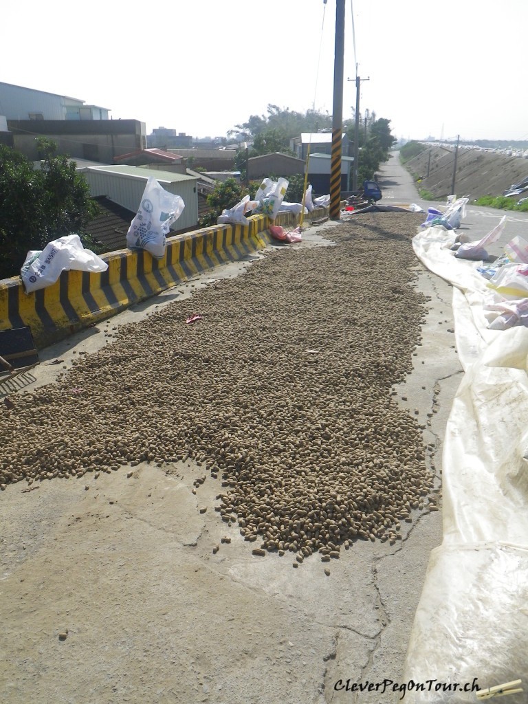 Von Huwei nach Taitung (5)