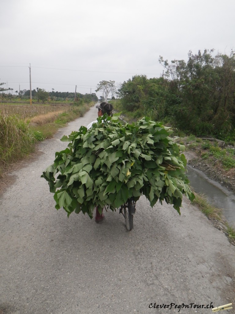 Von Huwei nach Taitung (72)