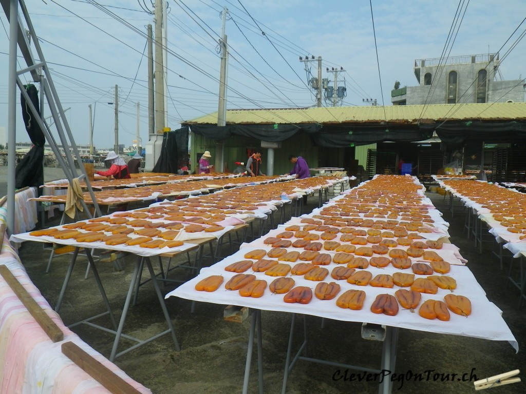 Von Huwei nach Taitung (8)