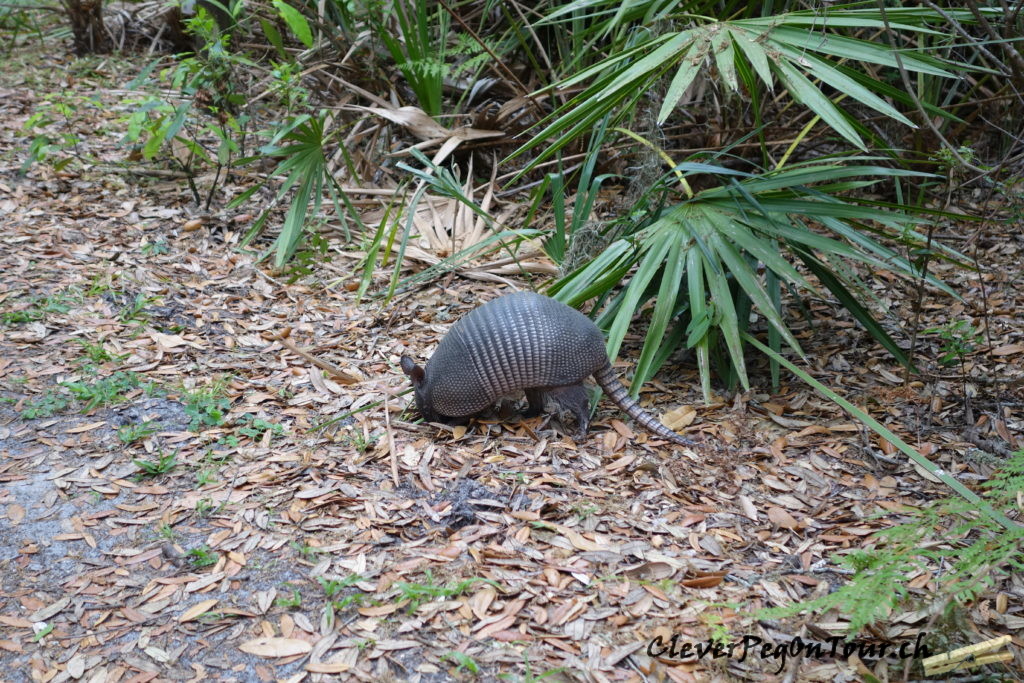 Florida-Georgia (34)