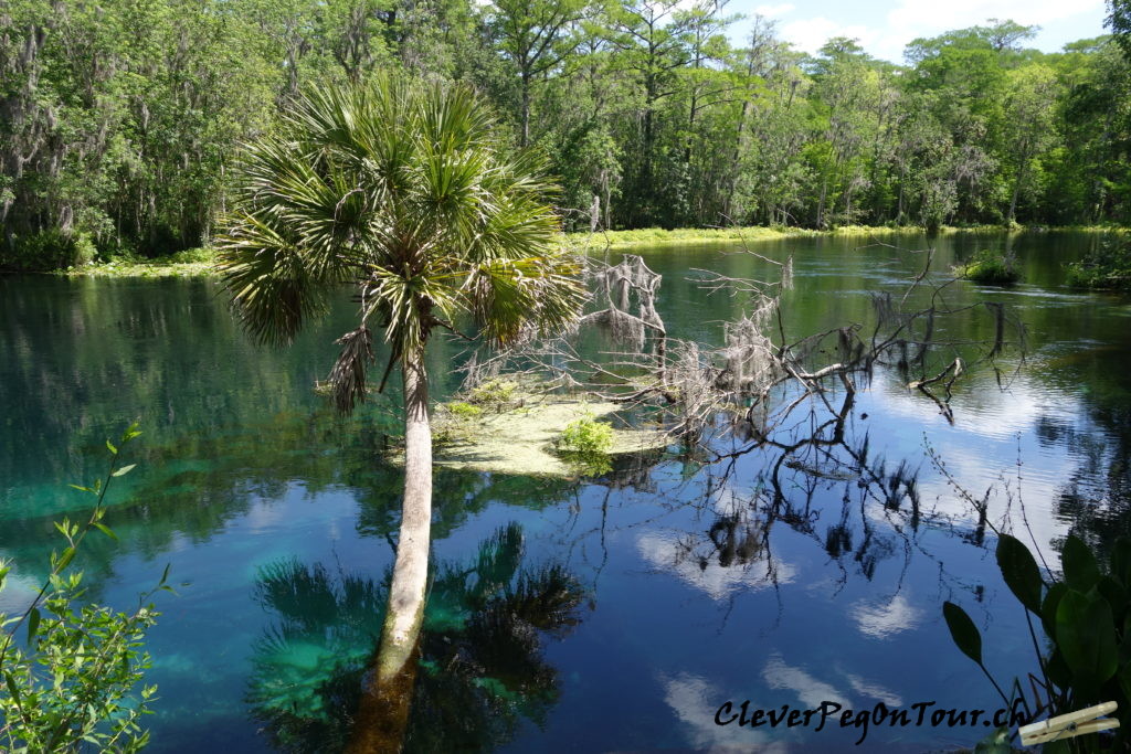 Florida-Georgia (5)