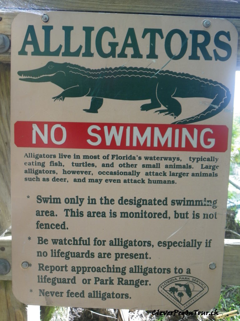 Florida-Georgia (6)