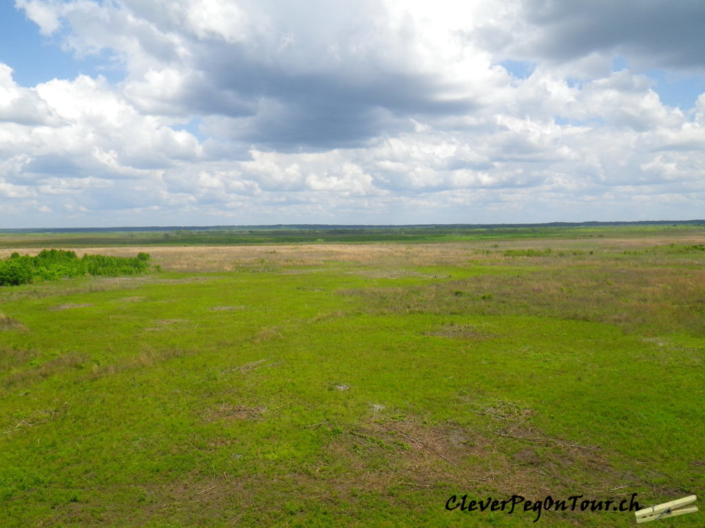 Florida-Georgia (8)