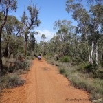 Munda Biddi Trail und Farmbesuch